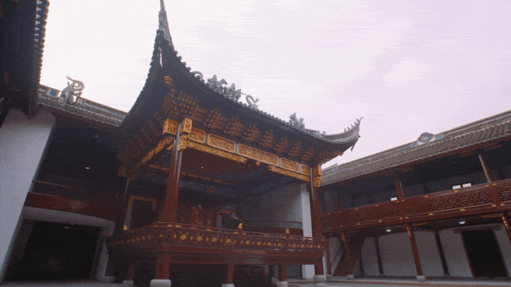 5.gif