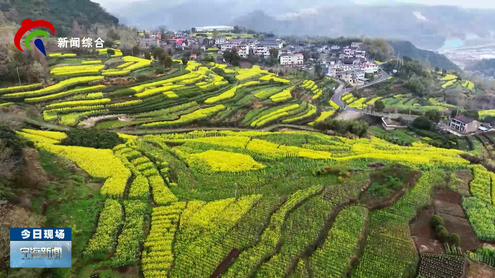 2026��3��25�գ�����������������