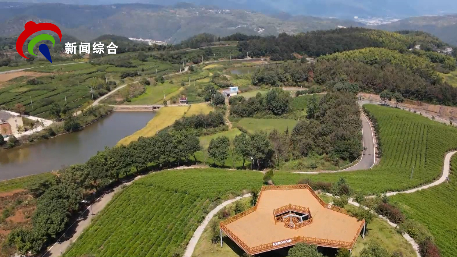 2026��1��15�գ������ģ���������